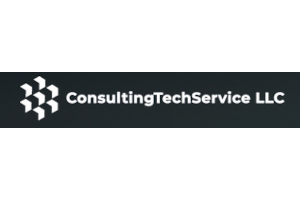 ConsultingsTechService LLC